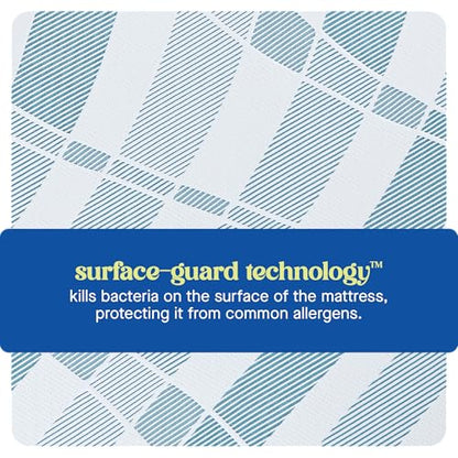 8 Inch Queen Memory Foam Mattress | Gel Foam | Surface-Guard Technology, Breathable Comfort