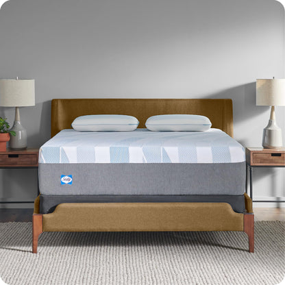 10 Inch Queen Memory Foam Mattress | Gel Foam with Surface-Guard Technology | Made in USA, 10 Year Warranty