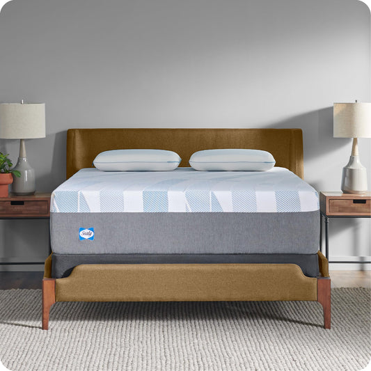 10 Inch Queen Memory Foam Mattress | Gel Foam with Surface-Guard Technology | Made in USA, 10 Year Warranty
